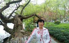 草社区2016最新地址一